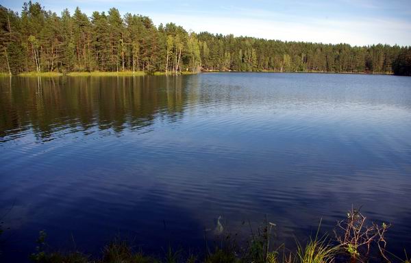 Озеро Карельский перешеек