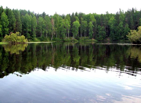 Рыбалка на реке Реня