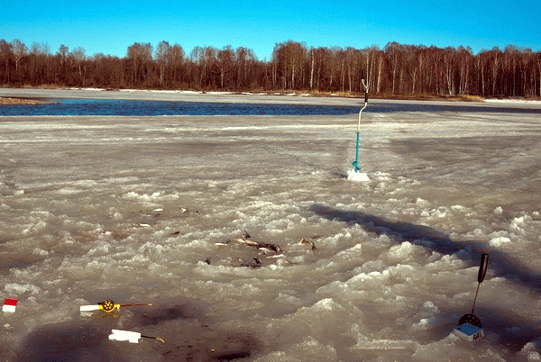 Рыбалка в апреле