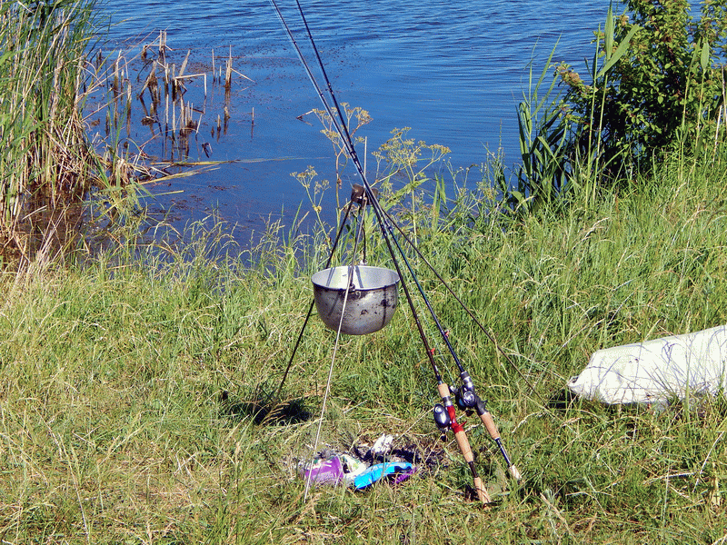 Рыбалка в июне