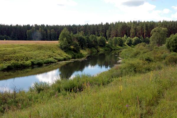 Река Шоша. Район Микулино