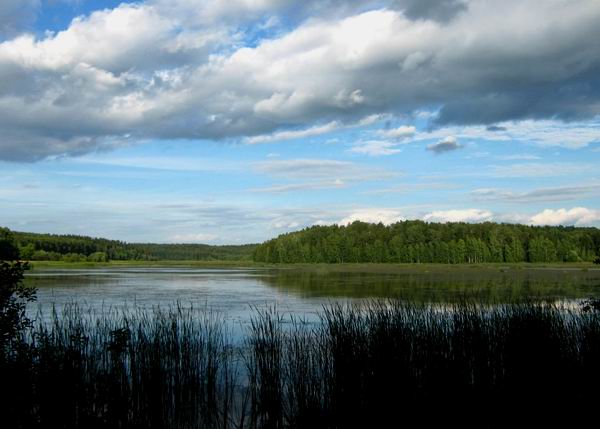 Яхромское водохранилище