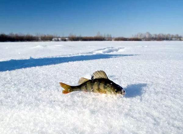рыбалка на москве реке зимой