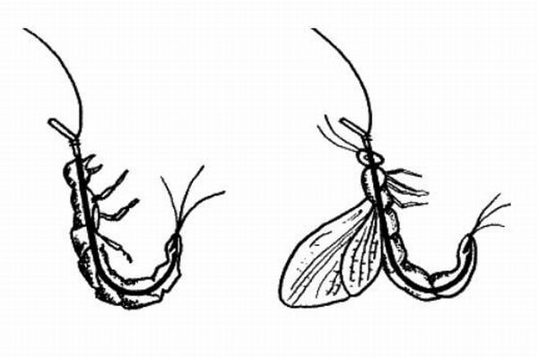 Способ насадки поденки на крючок
