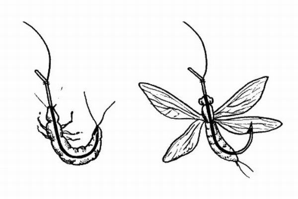 Способ насадки веснянки на крючок