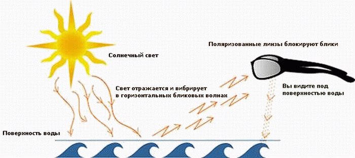 Поляризация очков