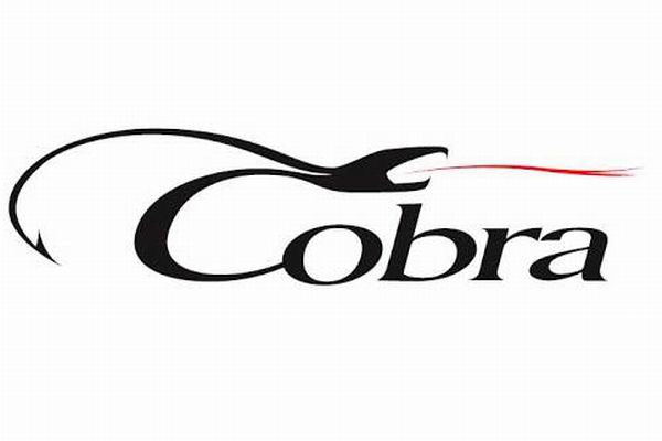 Обзор рыболовных крючков COBRA и COBRA PROFESSIONAL