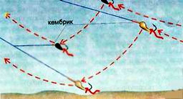 Движение мормышек у дна при ужении в проволочку в тихую погоду на водоеме без течения