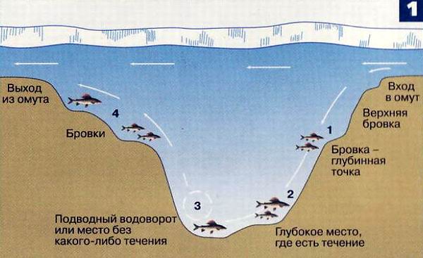 Главные точки поиска хариуса в глухозимье