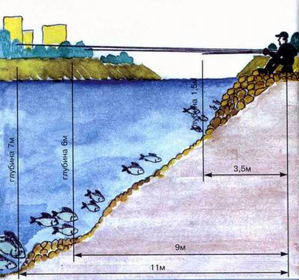 На какой глубине щука