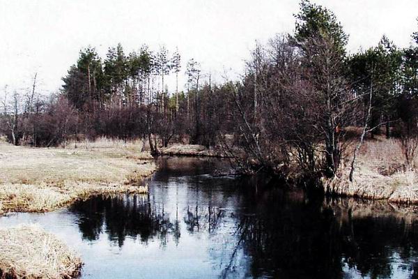 В проводку ранней весной