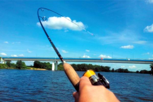 Рыбалка в городе Street Fishing