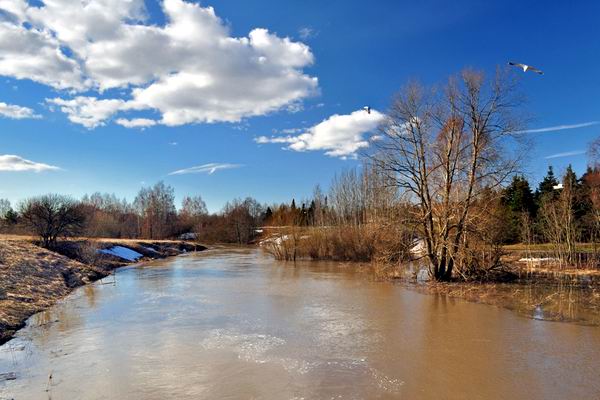 Рыбалка в мутной воде